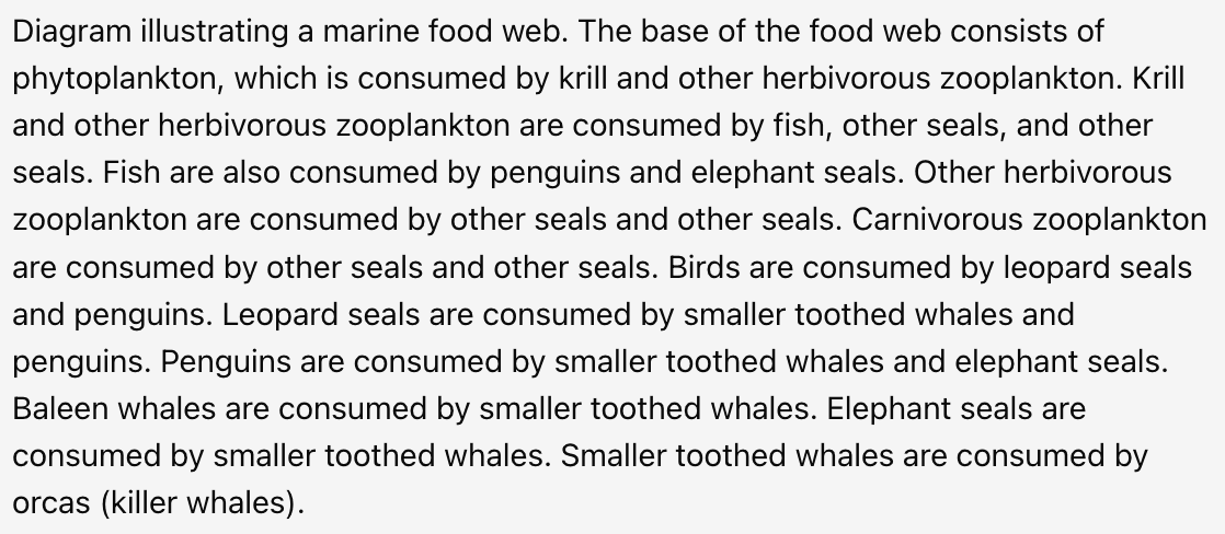 Marine food web — text